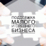 Буинские предприниматели могут воспользоваться мерами поддержки субъектов малого и среднего предпринимательства - Буинский район