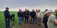 В Буинском районе оценивают состояние полей накануне Сабантуя - Газета Знамя